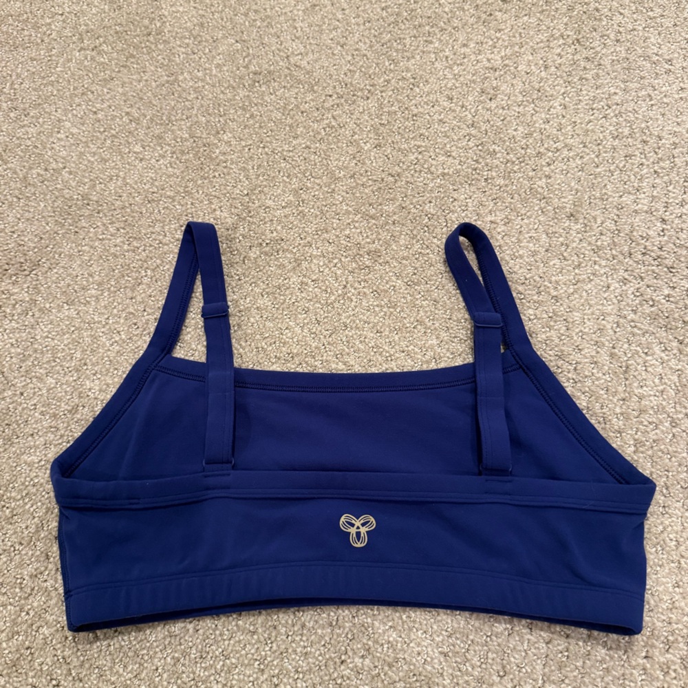 ARITZIA GOLDEN BRA